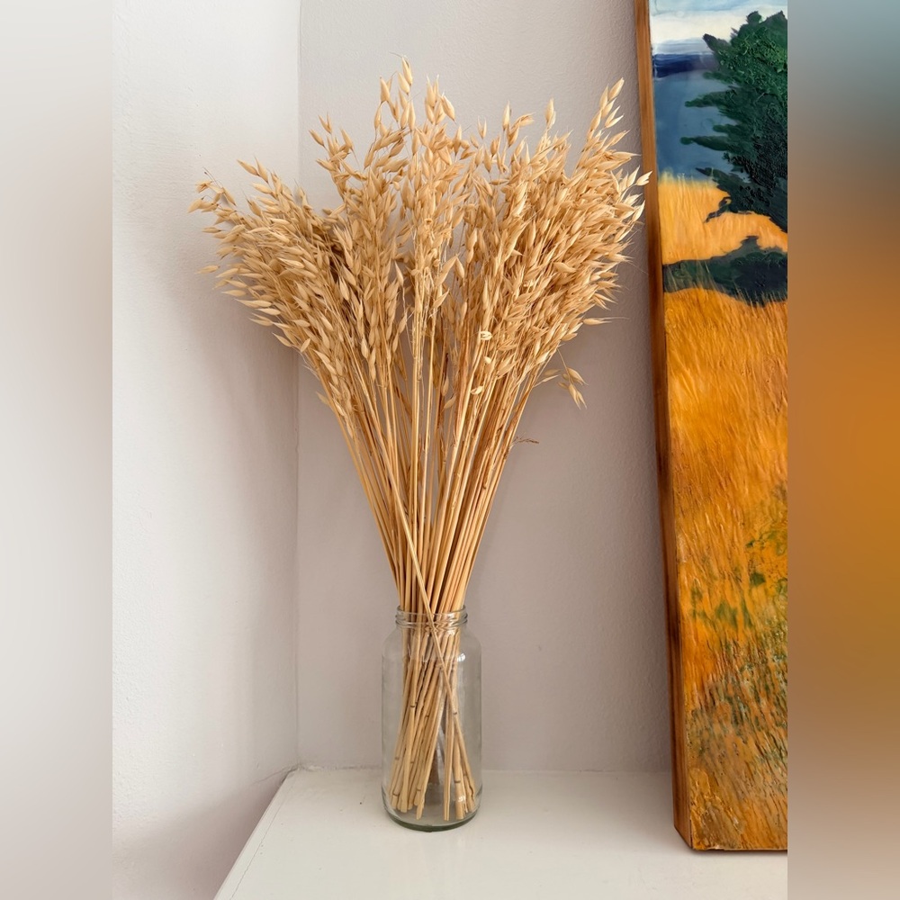 Natural Dried Oat Stalks Boho farmhouse cottagecore floral decor bundle